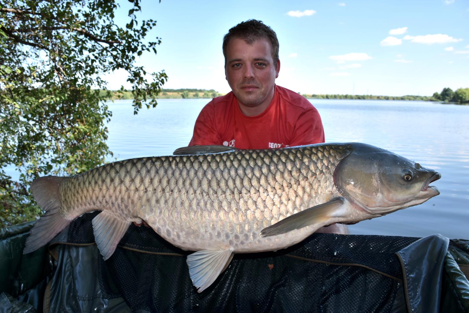 Cum sa prinzi cteno peste 15 kilograme?